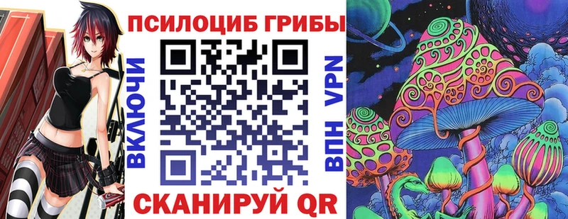 Галлюциногенные грибы Magic Shrooms  где купить наркотик  Азов 