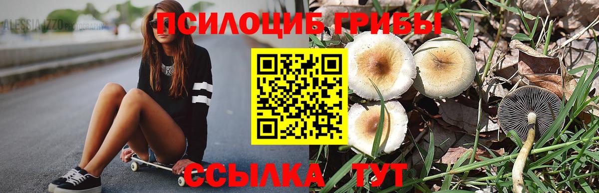 Галлюциногенные грибы прущие грибы  Вход с VPN  Азов  Псилоцибиновые грибы мухоморы 
