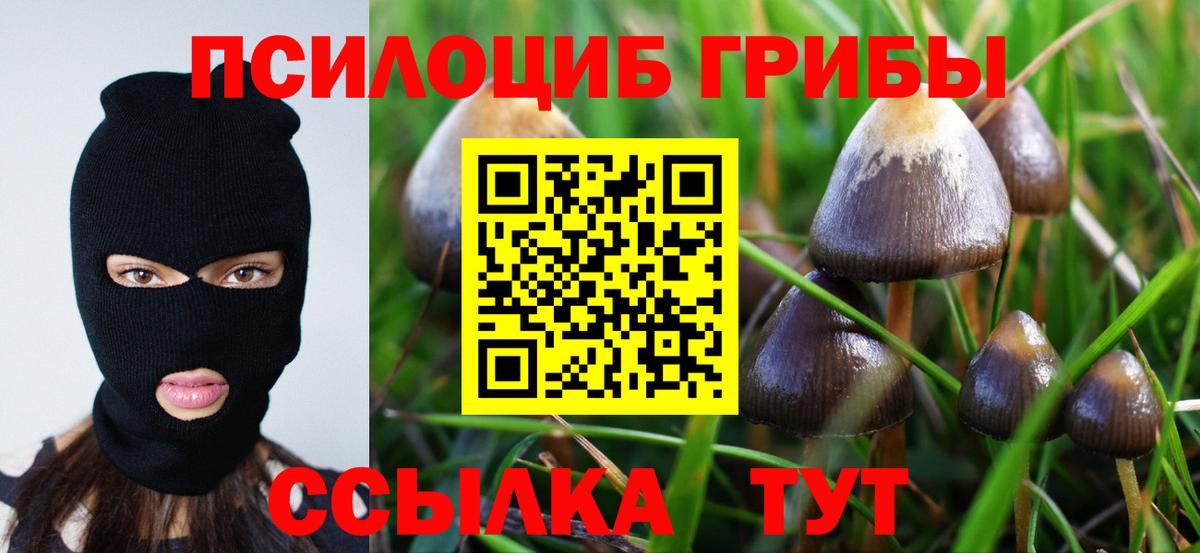 Галлюциногенные грибы GOLDEN TEACHER Азов
